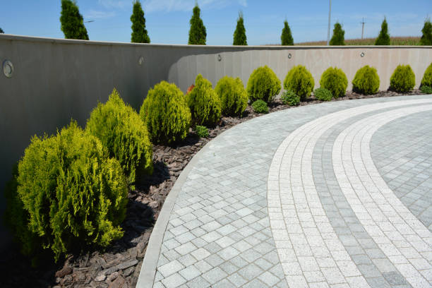 Reasons to Select Us for Your Driveway Paving Requirements in Marysville, PA